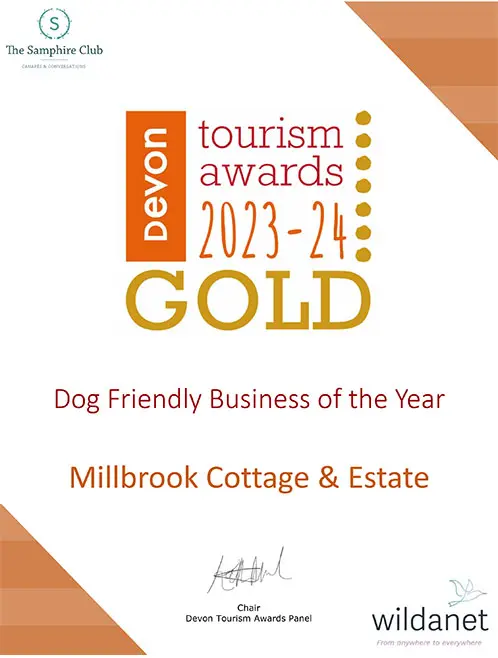 Award Wining Weddings 2024