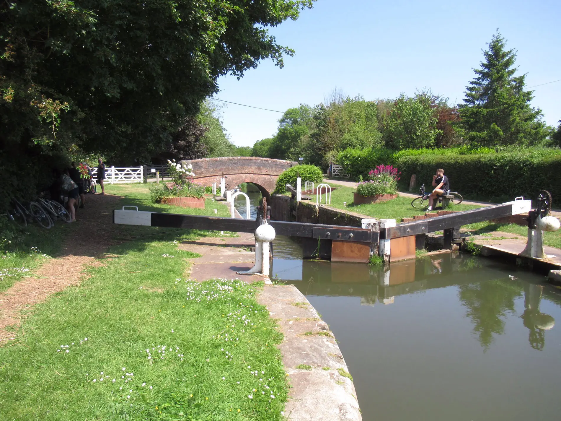 Canalside Walk at Maunsel Lock Dog-Friendly Stop near Junction 24