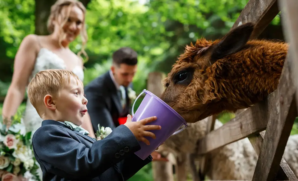 A groom sharing a joyful moment with children at a family wedding at Tree Top Escape, Devon