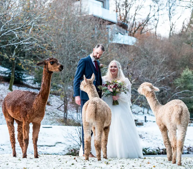 Winter Weddings