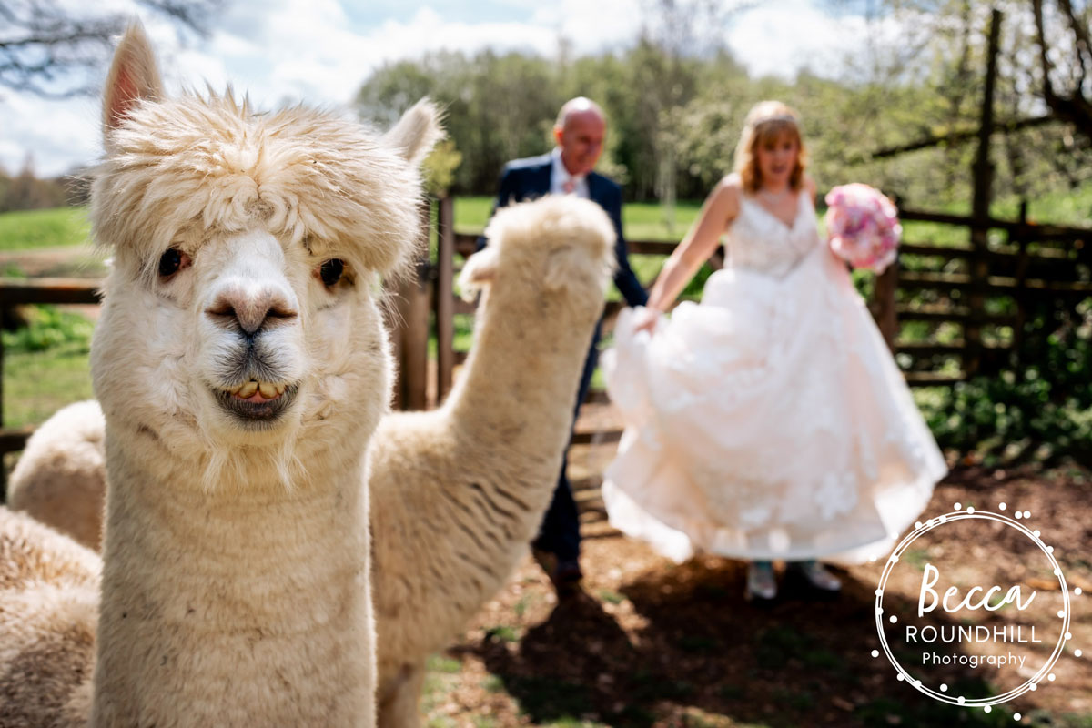 North Devons Adventure Coast