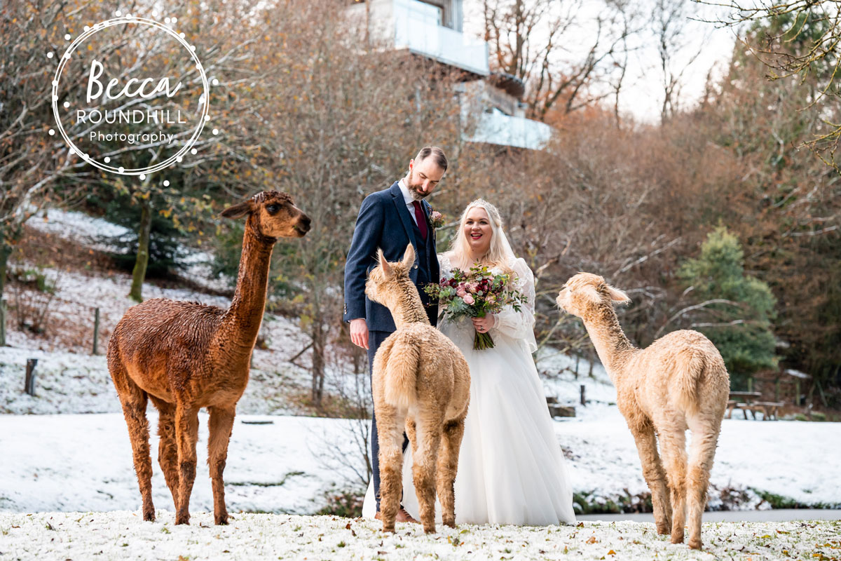 Rebecca Roundhill Photography