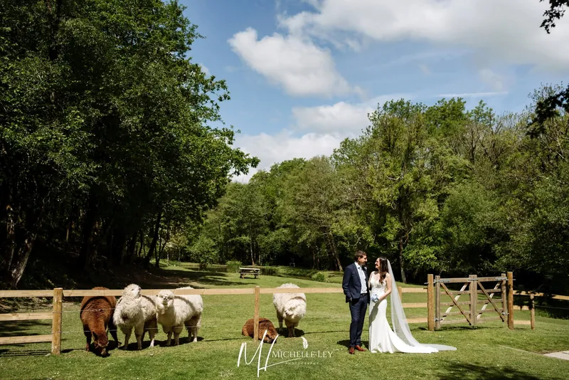 Bride and groom by the alpaca paddock and lake at Tree Top Escape in summer